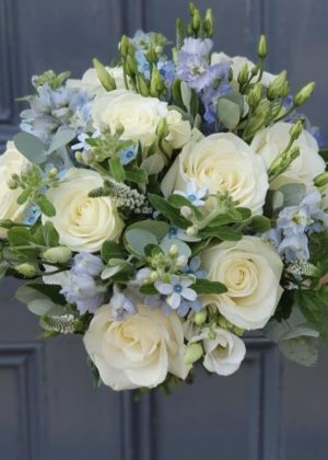 RAMOS NOVIA Y XV AÑOS 11